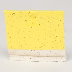 SW502 Mayco Gloss Yellow